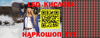 ГАЛЛЮЦИНОГЕННЫЕ ГРИБЫ Боровичи