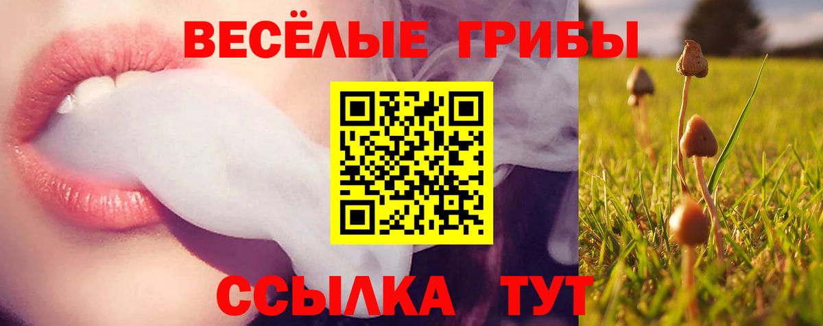 цены   Галлюциногенные грибы GOLDEN TEACHER  Вход с VPN  Городец 